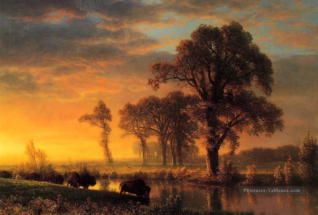 Western Kansas Albert Bierstadt paysages Rivières Peintures à l'huile